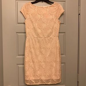 Light Pink Lace Fitted Dress
